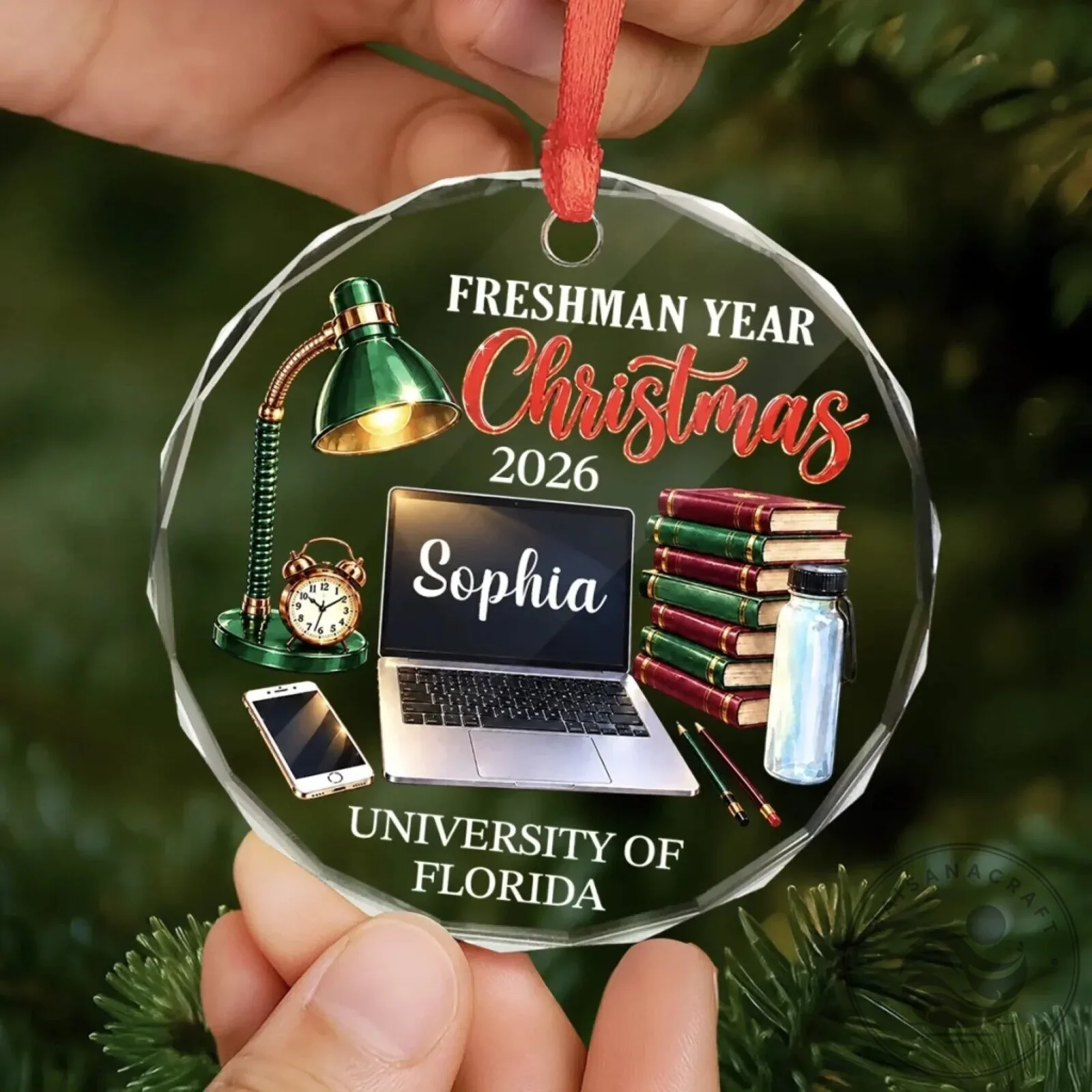 Personalized Freshman Year Christmas 2026 University of Florida Ornament 12 Personalized Freshman Year Christmas 2026 University of Florida Ornament